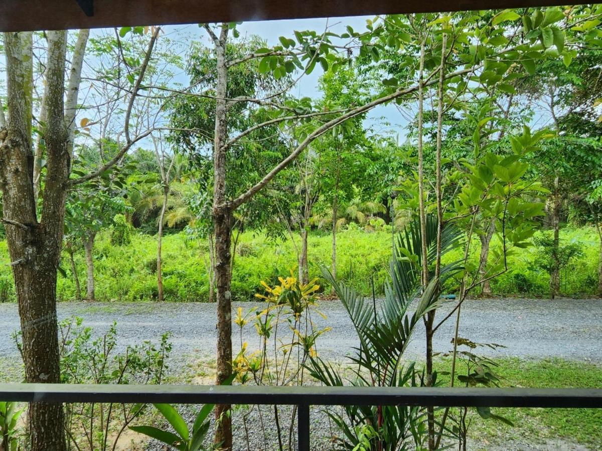 Suankafae Resort สวนกาแฟรีสอร์ท Surat Thani Extérieur photo