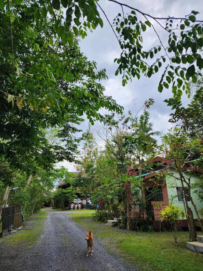 Suankafae Resort สวนกาแฟรีสอร์ท Surat Thani Extérieur photo