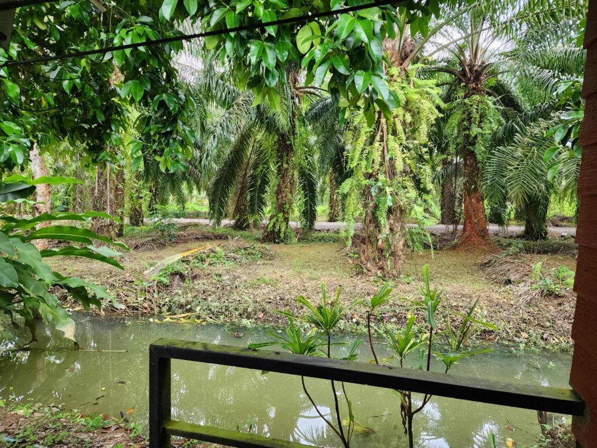 Suankafae Resort สวนกาแฟรีสอร์ท Surat Thani Extérieur photo