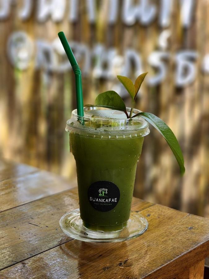 Suankafae Resort สวนกาแฟรีสอร์ท Surat Thani Extérieur photo
